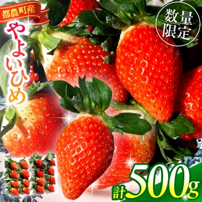 ≪先行予約≫都農町産いちご「やよいひめ」計500g フルーツ 果物 イチゴ 国産_T059-001