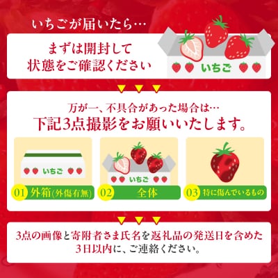 ≪数量限定≫都農町産いちご「やよいひめ」計500g フルーツ 果物 イチゴ 国産_T059-001