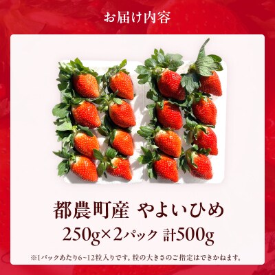≪数量限定≫都農町産いちご「やよいひめ」計500g フルーツ 果物 イチゴ 国産_T059-001