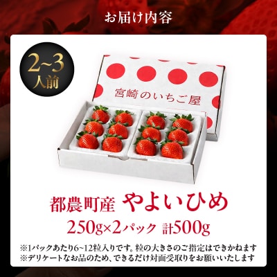 ≪数量限定≫都農町産いちご「やよいひめ」計500g フルーツ 果物 イチゴ 国産_T059-001