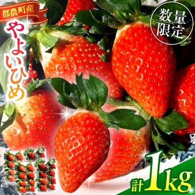 ≪先行予約≫都農町産いちご「やよいひめ」計1kg フルーツ 果物 イチゴ 国産_T059-002