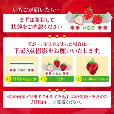 ≪数量限定≫都農町産いちご「やよいひめ」計1kg フルーツ 果物 イチゴ 国産_T059-002