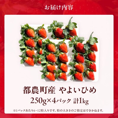 ≪数量限定≫都農町産いちご「やよいひめ」計1kg フルーツ 果物 イチゴ 国産_T059-002