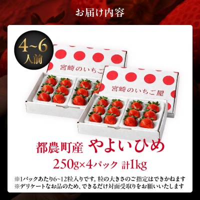 ≪数量限定≫都農町産いちご「やよいひめ」計1kg フルーツ 果物 イチゴ 国産_T059-002