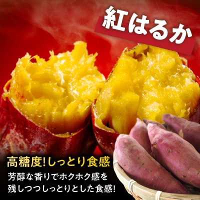 冷やし焼き芋(紅はるか) 計2kg さつまいも イモ 野菜 国産_T016-007