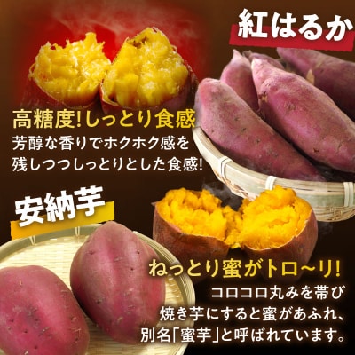 冷やし焼き芋(安納芋・紅はるか) 合計800g さつまいも イモ 野菜 国産_T016-008