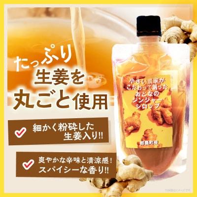 ＼ポスト投函/都農町産ジンジャーシロップ(計1本) 生姜 加工品 国産_T024-013