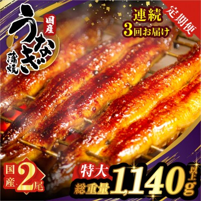 【3回連続定期便】うなぎ蒲焼特大2尾(総重量1140g以上)鰻 加工品 国産_T026-0061-R