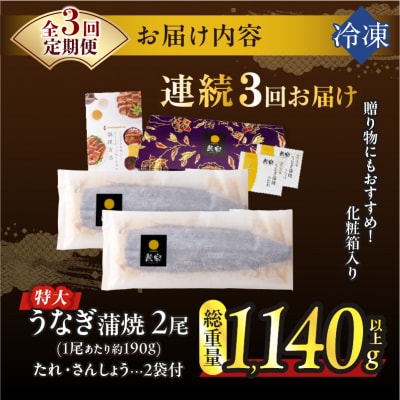 【3回連続定期便】うなぎ蒲焼特大2尾(総重量1140g以上)鰻 加工品 国産_T026-0061-R