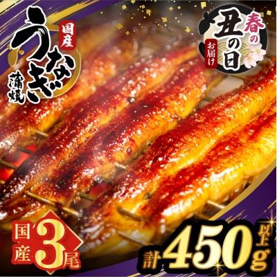 【春の丑の日までにお届け!!】うなぎ蒲焼3尾(計450g以上) 鰻 国産_T026-014-US1