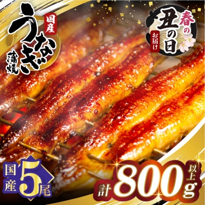 【春の丑の日までにお届け!!】うなぎ蒲焼5尾(計800g以上) 鰻 国産_T026-0032-US1
