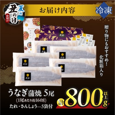 【夏の丑の日までにお届け!!】うなぎ蒲焼5尾(計800g以上) 鰻 国産_T026-0032-US2