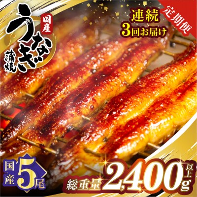 【3回連続定期便】うなぎ蒲焼5尾(総重量2400g以上) 鰻 加工品 国産_T026-0032-R