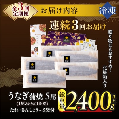 【3回連続定期便】うなぎ蒲焼5尾(総重量2400g以上) 鰻 加工品 国産_T026-0032-R