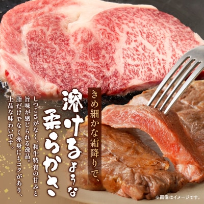 ≪宮崎県産≫黒毛和牛ロースステーキ(計1kg) 肉 牛 牛肉 焼肉 国産_T030-216