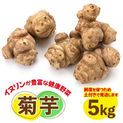 菊芋(きくいも)健康野菜5kg
