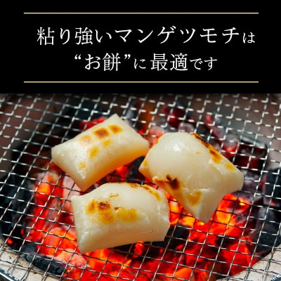 もち米　精米　2kg  マンゲツモチ