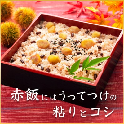 もち米　精米　2kg  マンゲツモチ