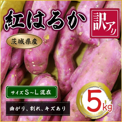 訳あり　さつま芋　紅はるか　5kg