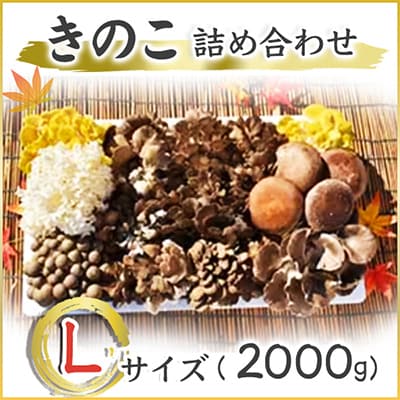 きのこの詰め合わせ　Lサイズ(2.000g)