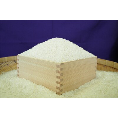 城里町産米(精米コシヒカリ) 10kg