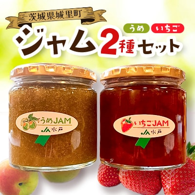 ジャム2種セット【いちご・うめ】