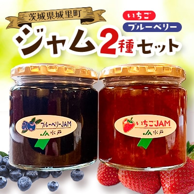 ジャム2種セット【いちご・ブルーベリー】