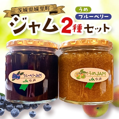 ジャム2種セット【うめ・ブルーベリー】