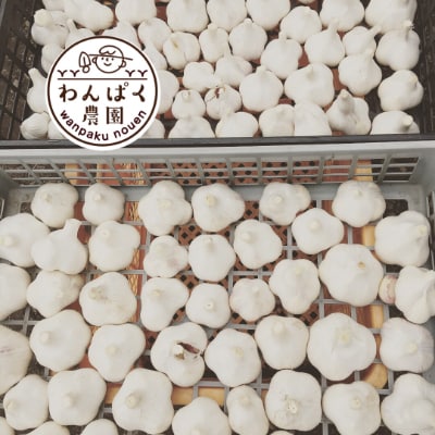 わんぱく農園の黒にんにく