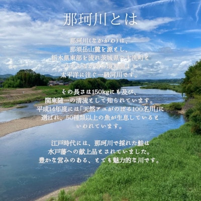 那珂川の天然鮎 10~15cm程度 若鮎 小サイズ 500g | 茨城県城里町