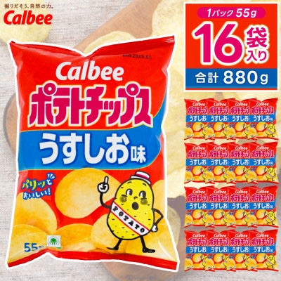 カルビー ポテトチップス うすしお味 1ケース(55g×16袋) 数量限定
