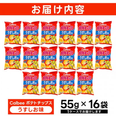 カルビー ポテトチップス うすしお味 1ケース(55g×16袋) 数量限定