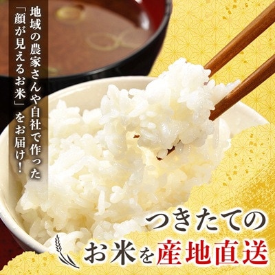 「関東地方配送限定」【令和7年産】城里町内・桂農産の【しきゆたか　精米】10kg(5kg×2袋)