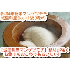 令和4年 新米 城里町産マンゲツモチ(精米) 2kg×1袋