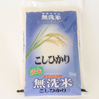 【令和7年産】城里町内・桂農産 コシヒカリ 無洗米 5kg「関東配送限定」