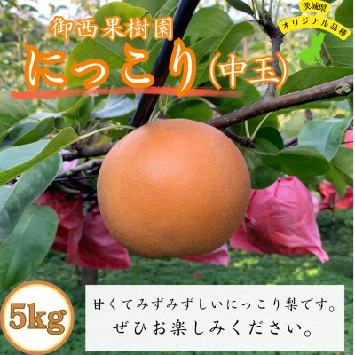 【農家直送】梨 にっこり 中玉サイズ9～12個(約5kg)