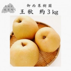 【農家直送】梨 王秋 4～6個(約3kg)