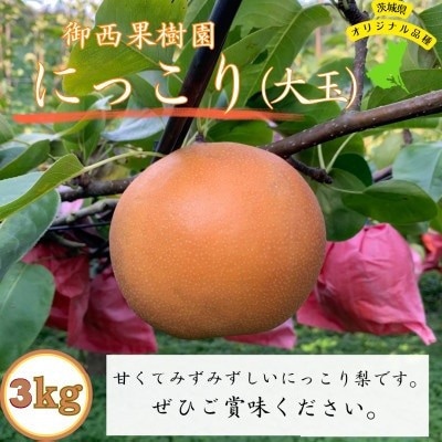 【農家直送】梨 にっこり 大玉サイズ 4～6個(3kg)