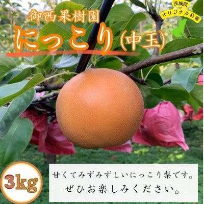 【農家直送】梨 にっこり 中玉サイズ 7～10個(3kg)