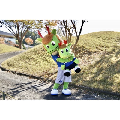 圧倒的ホーリーくん(ぬいぐるみ)