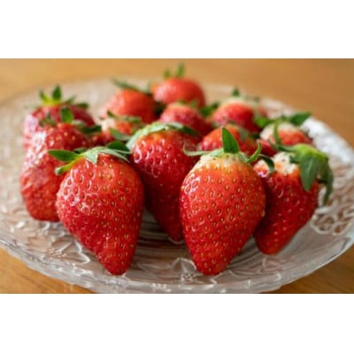 【2024年12月より順次発送】とちおとめ大粒250g×4pc(県内共通返礼品:石岡市産)