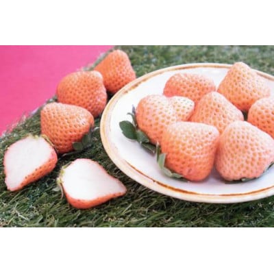 【2025年1月より順次発送予定】いちご4品種食べ比べセット 各1pc【茨城県共通返礼品】(石岡市)