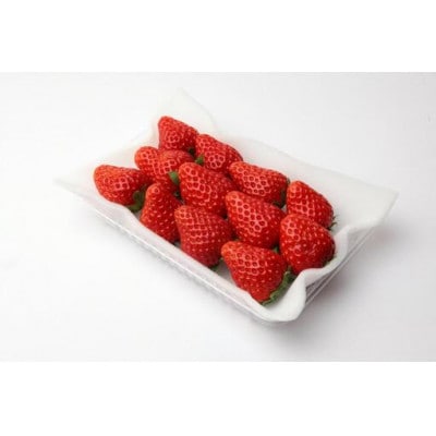 【2025年12月より順次発送】お歳暮 とちおとめ大粒250g×4pc (県内共通返礼品:石岡市産)