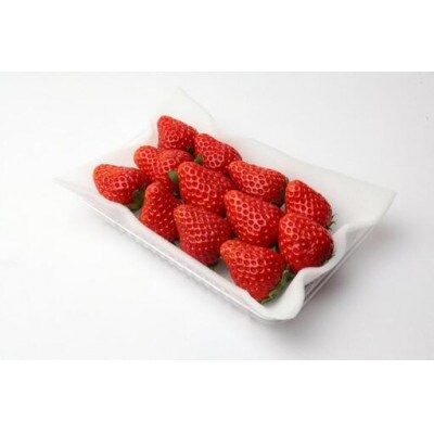 2025年12月より順次発送お歳暮やよいひめ250g(8～12粒)×4pc(県内共通返礼品:石岡市産