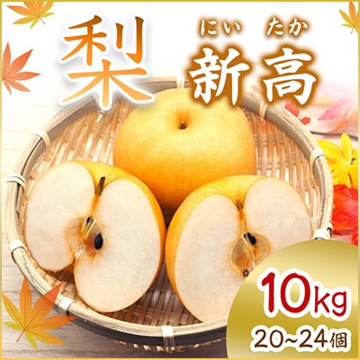 【2025年10月より順次発送予定】新高　10kg　20～24個(県内共通返礼品:石岡市産)