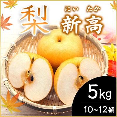 【2025年10月上旬より順次発送予定】新高　5kg　10～12個(県内共通返礼品:石岡市産)
