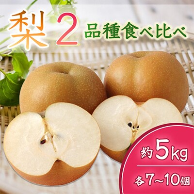 【2025年8月より順次発送予定】梨2品種食べ比べ　各7～10個約5kg(県内共通返礼品:石岡市産)