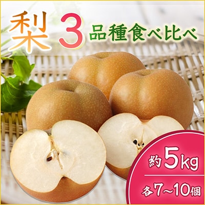 【2025年9月より順次発送予定】梨3品種食べ比べ　各7～10個約5kg(県内共通返礼品:石岡市産)