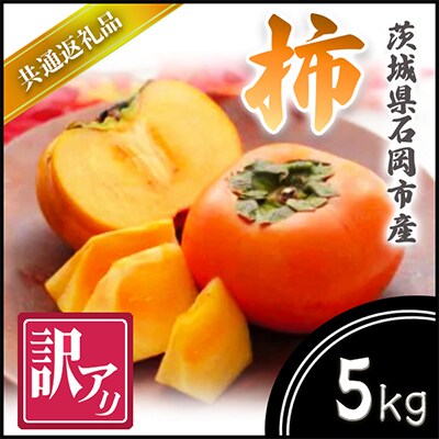 【2025年10月より順次発送予定】訳あり　柿　5kg(県内共通返礼品:石岡市産)