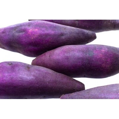 紫芋　5kg 県内共通返礼品